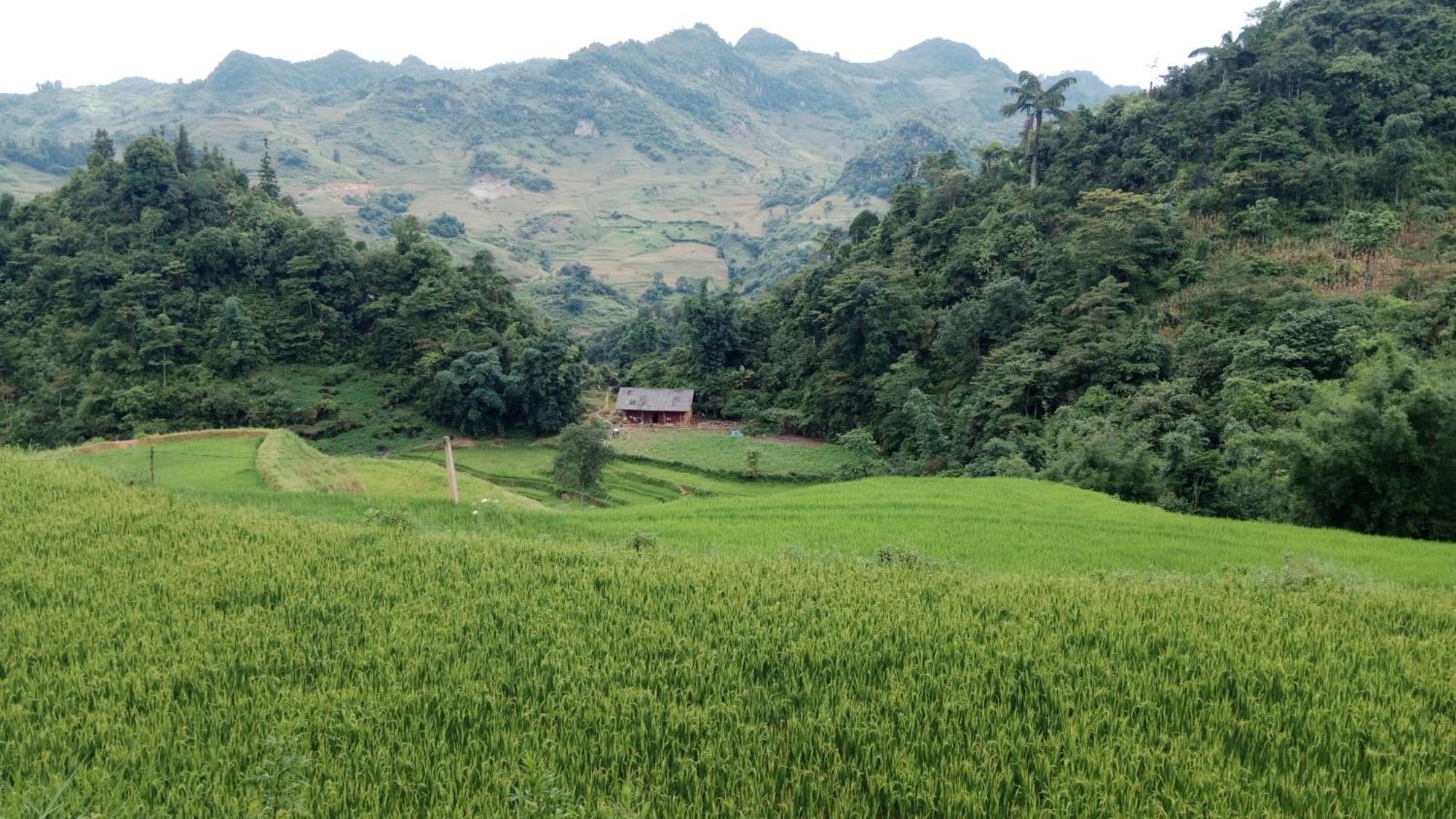 Higland Homestay Bac Ha Exterior foto