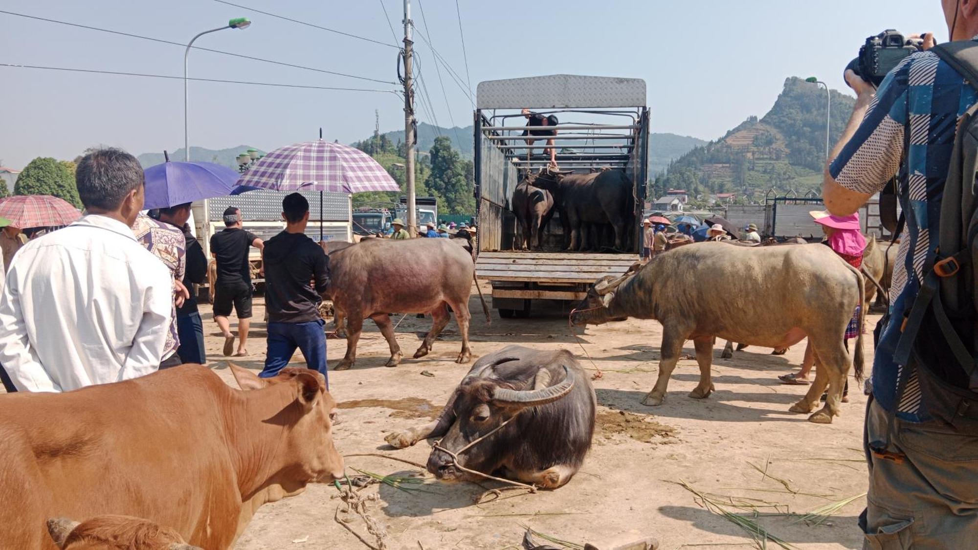 Higland Homestay Bac Ha Exterior foto